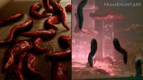 One of the alien slugs from director James Gunn's 2006 horror movie Slither is visible inside the Collector's glass cases. in Guardians of the Galaxy