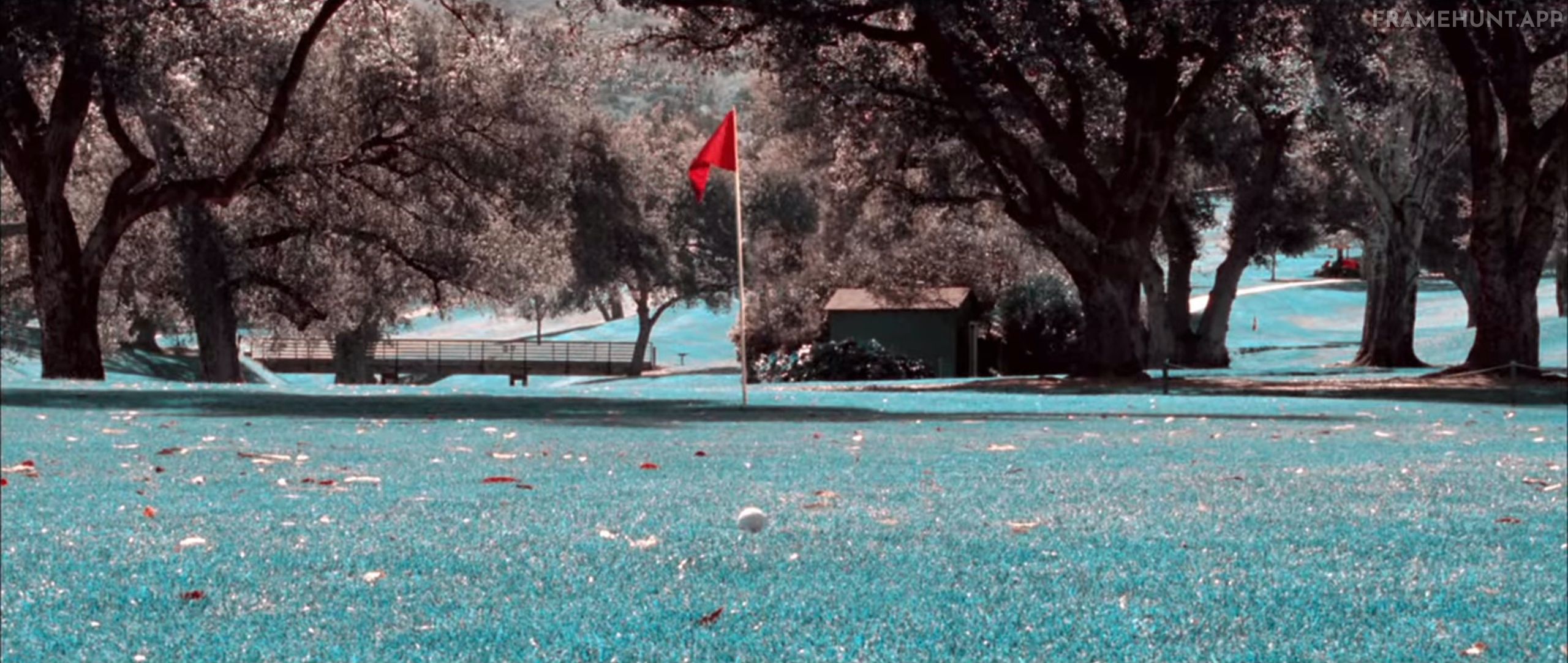 The film's color grading physically changes to match the real-life historical film processing technology of that exact decade. in The Aviator