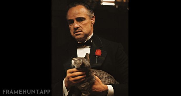 Vito Corleone is calmly stroking a cat while discussing murder and family loyalty in his office. in The Godfather